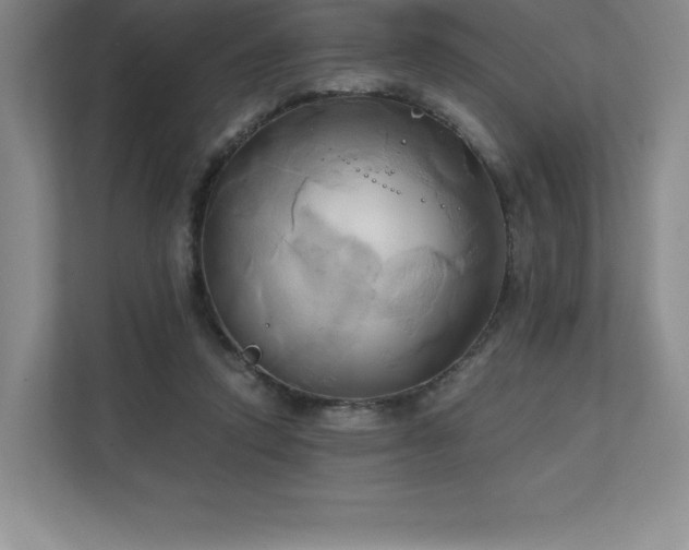 X0000111240354200907021416