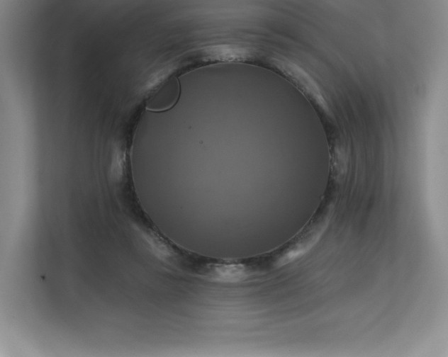 X0000111240355200907021416