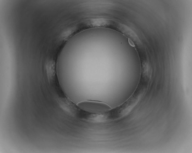 X0000111240356200907021416