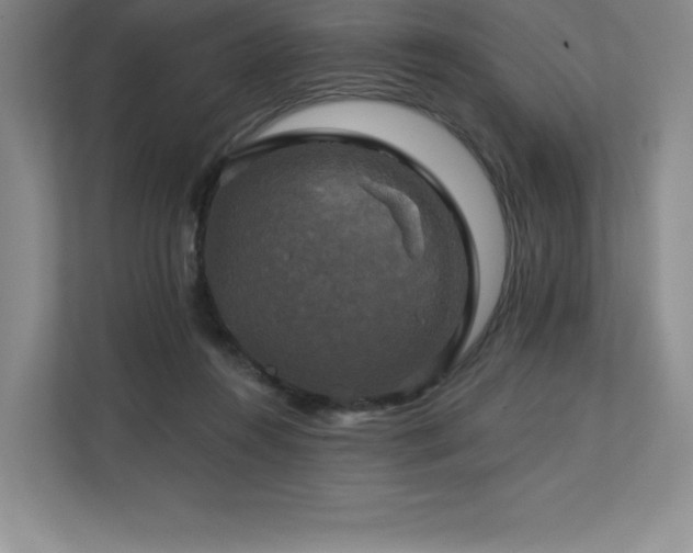 X0000111240360200907021416