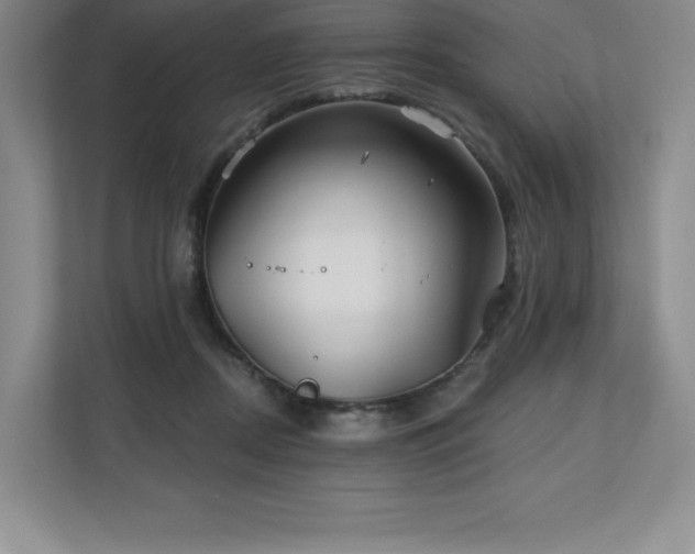X0000111240362200907021416