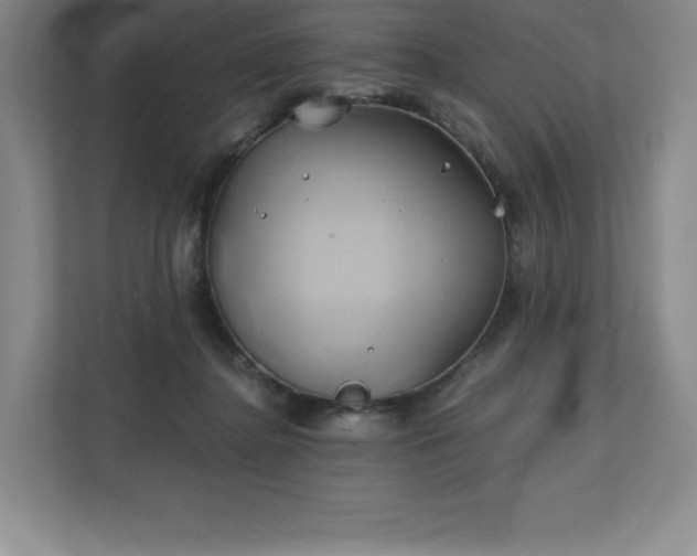 X0000111240364200907021416