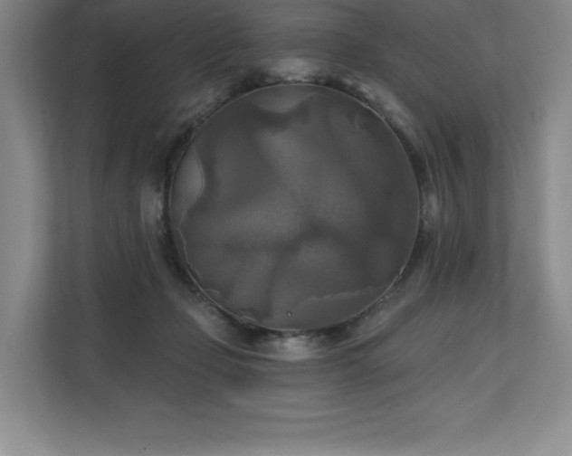 X0000111240365200907021416