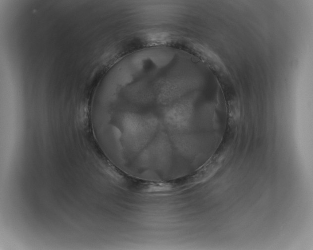 X0000111240369200907021416