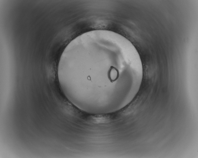 X0000111240370200907021416