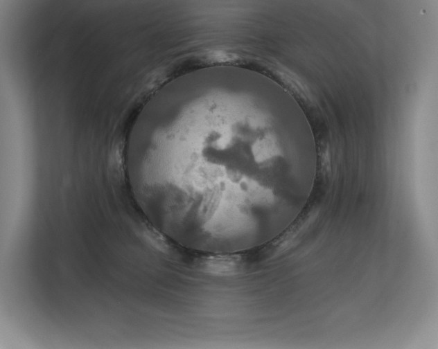 X0000111240373200907021416