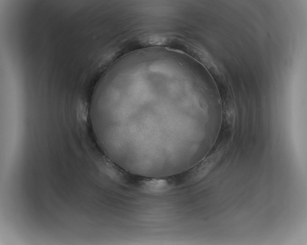 X0000111240374200907021416