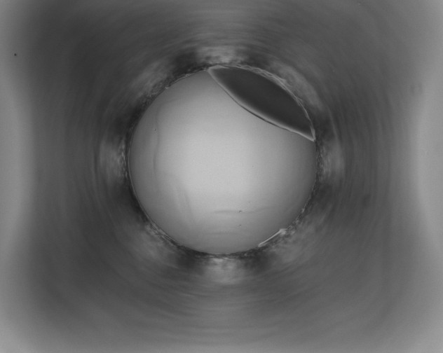 X0000111240376200907021416