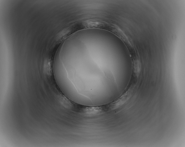 X0000111240378200907021416