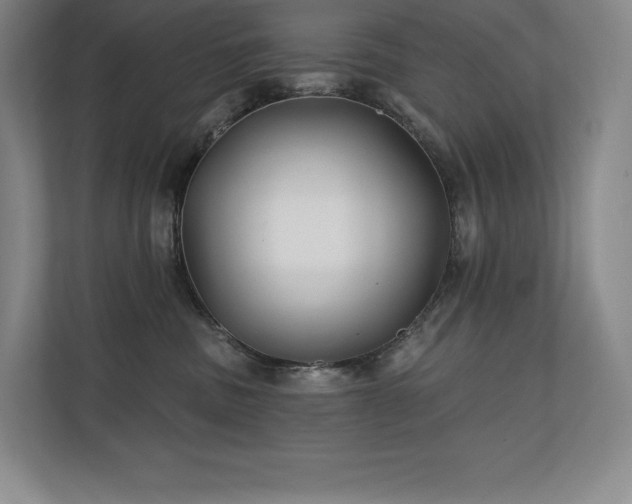 X0000111240379200907021416