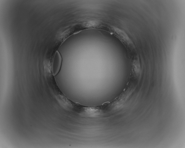 X0000111240380200907021416