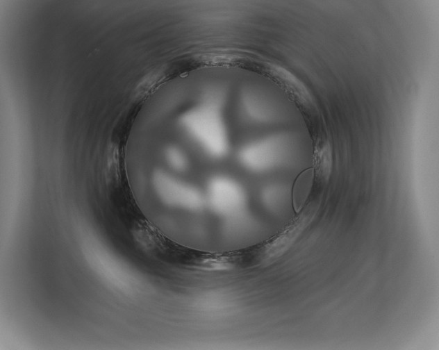 X0000111240381200907021416