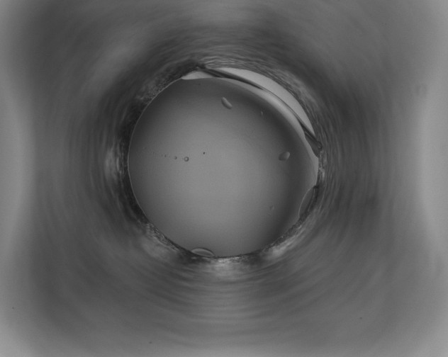 X0000111240382200907021416