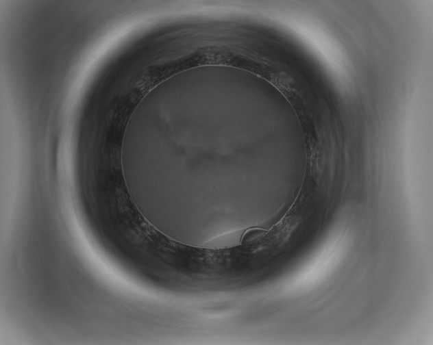 X0000111240383200907021416