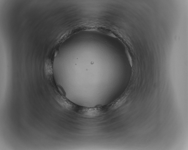 X0000111240384200907021416