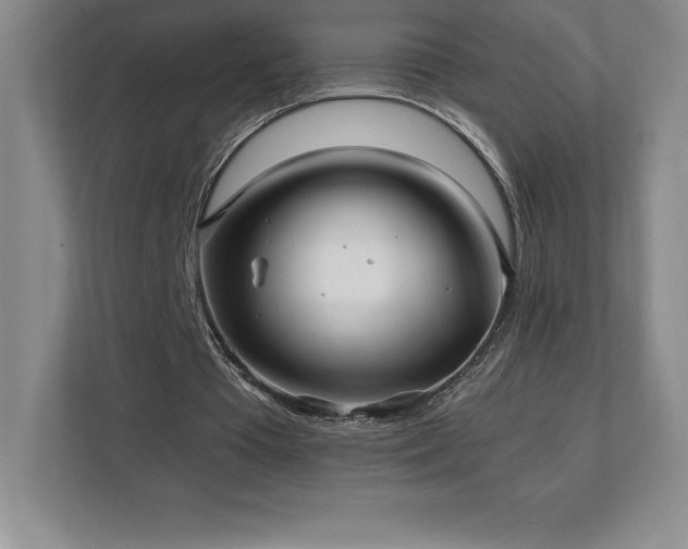 X0000111240385200907021415