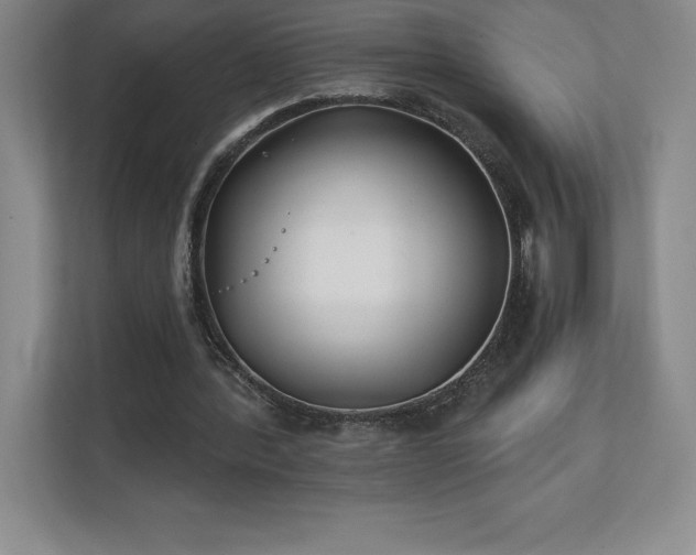 X0000111240388200907021415