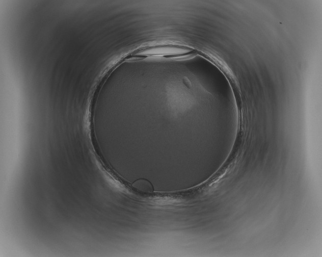 X0000111240389200907021415