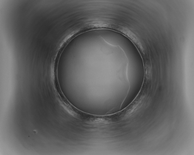 X0000111240390200907021415