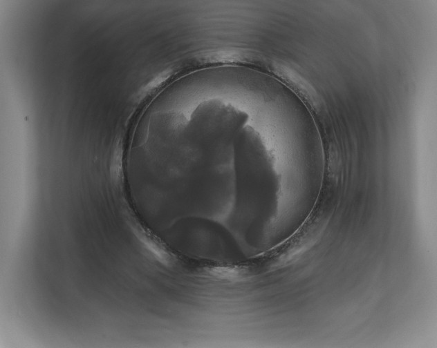 X0000111240394200907021415