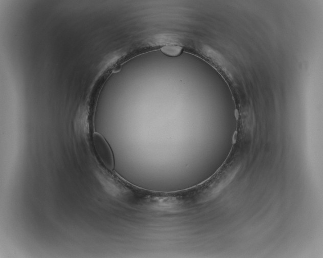 X0000111240395200907021415