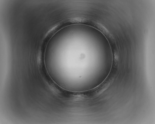 X0000111240396200907021415