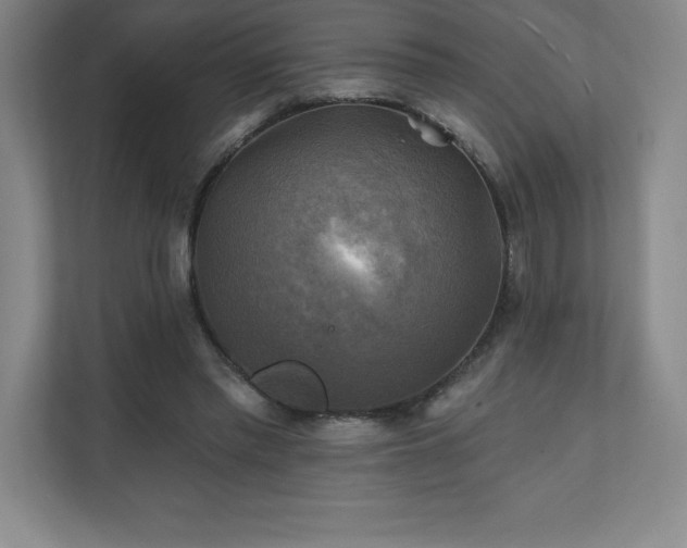 X0000111240397200907021415