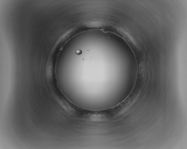 X0000111240400200907021415