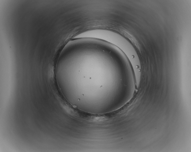 X0000111240401200907021415