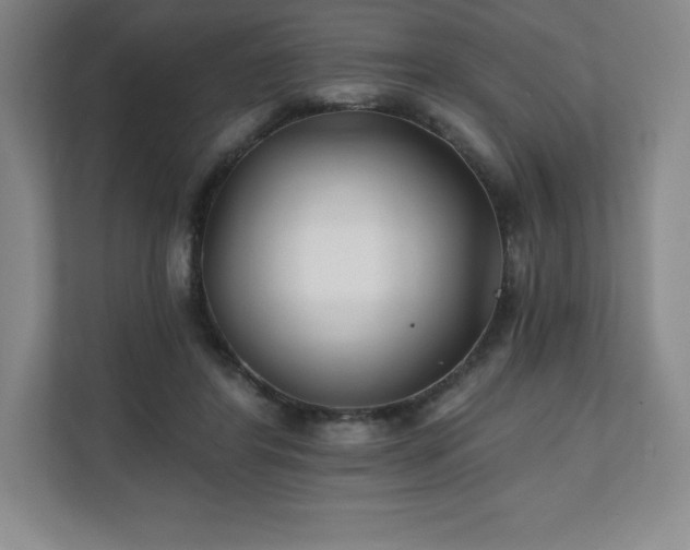 X0000111240404200907021415