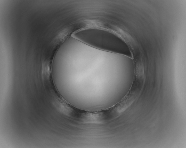 X0000111240405200907021415