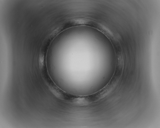 X0000111240406200907021415