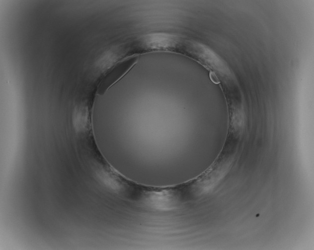 X0000111240411200907021415