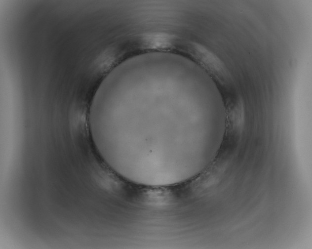 X0000111240415200907021415