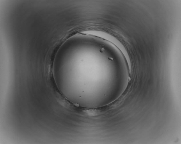 X0000111240417200907021415