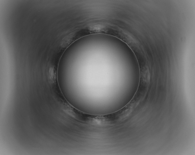X0000111240420200907021415