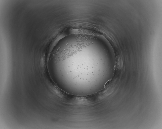 X0000111240424200907021415
