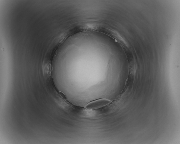 X0000111240425200907021415