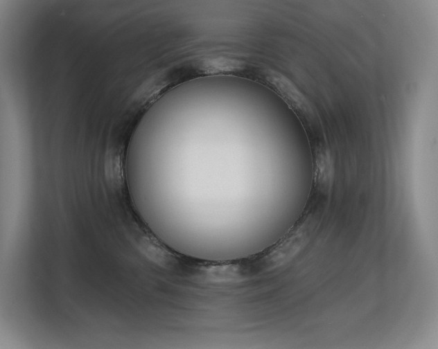 X0000111240426200907021415