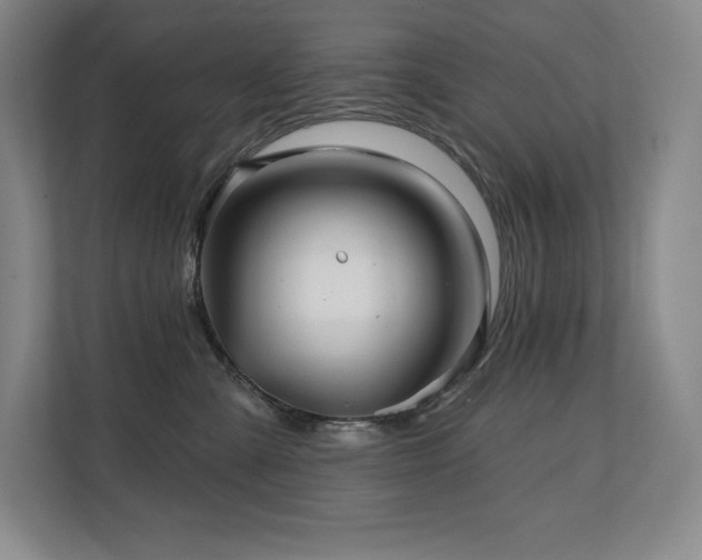 X0000111240427200907021415