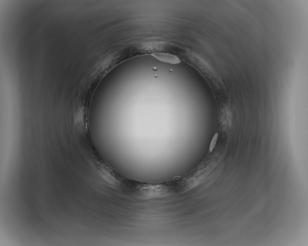 X0000111240428200907021415