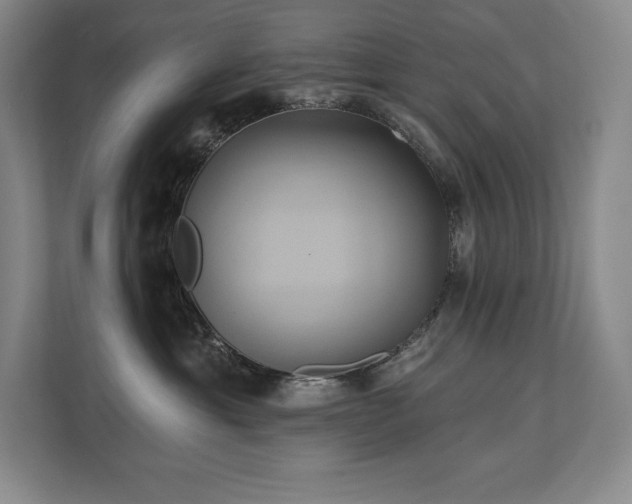 X0000111240429200907021415