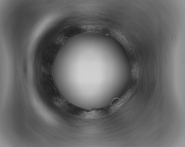 X0000111240430200907021415
