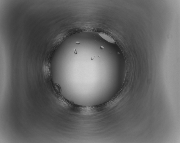 X0000111240432200907021415