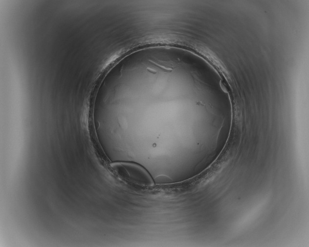 X0000111240434200907021414