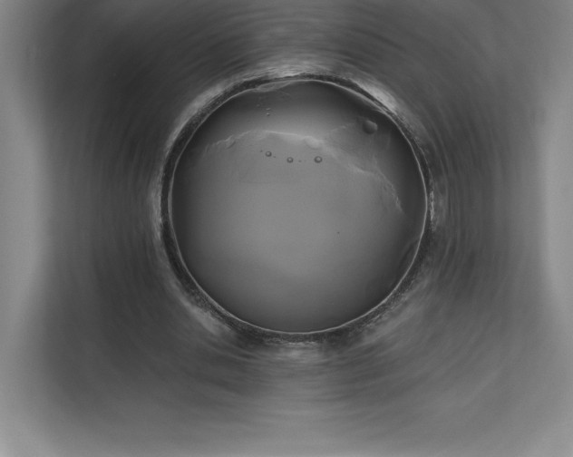 X0000111240438200907021414