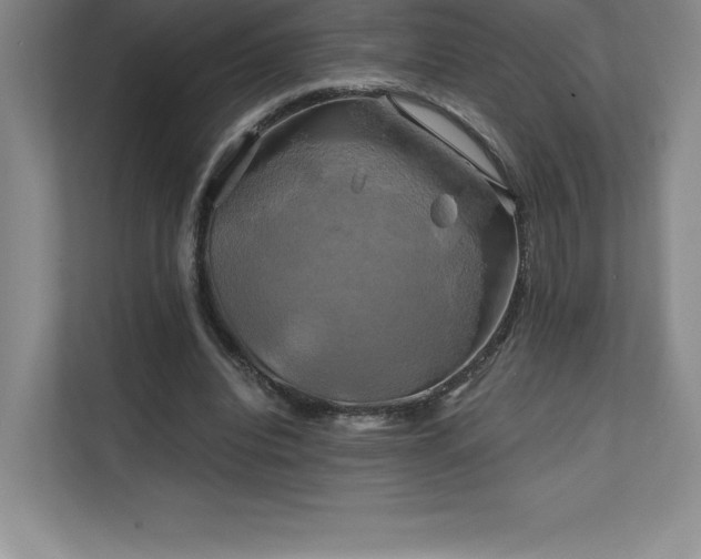 X0000111240440200907021414