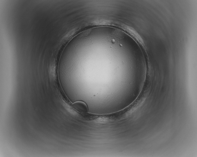 X0000111240441200907021414
