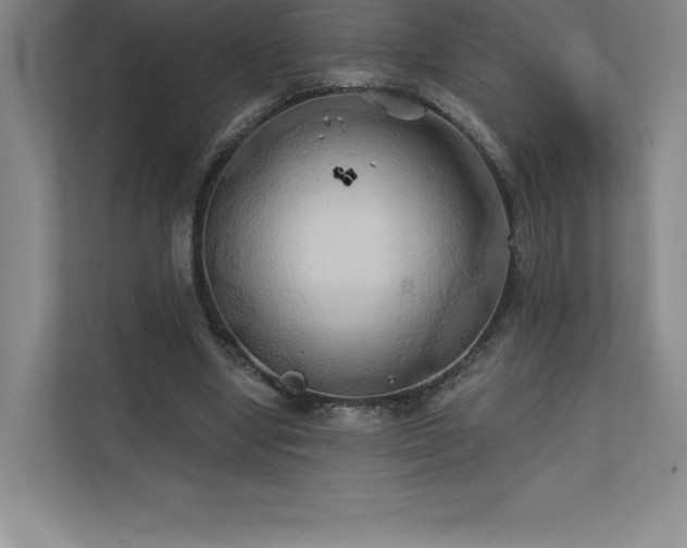 X0000111240442200907021414