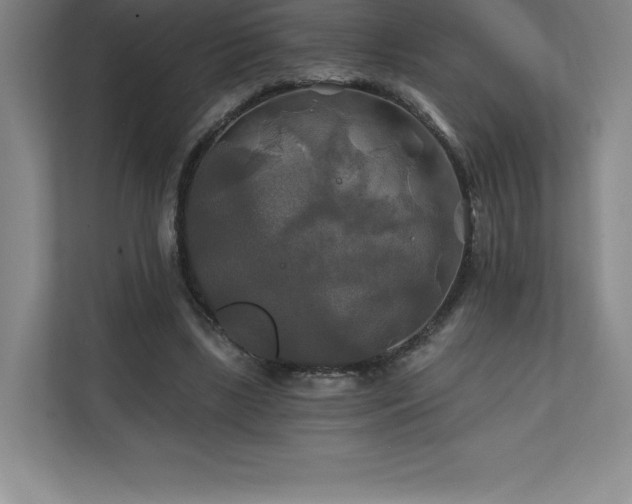 X0000111240443200907021414